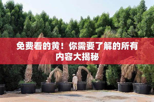 免费看的黄！你需要了解的所有内容大揭秘
