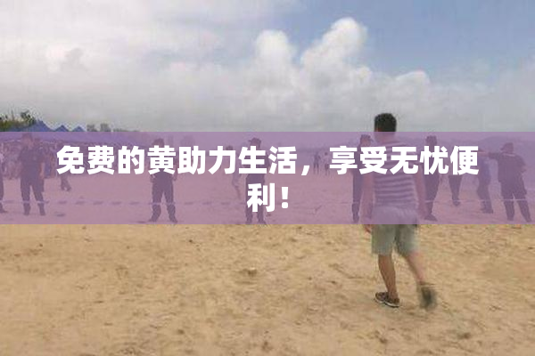 免费的黄助力生活，享受无忧便利！