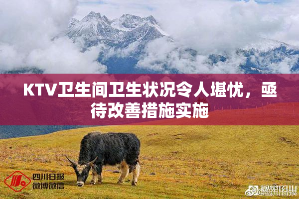 KTV卫生间卫生状况令人堪忧，亟待改善措施实施
