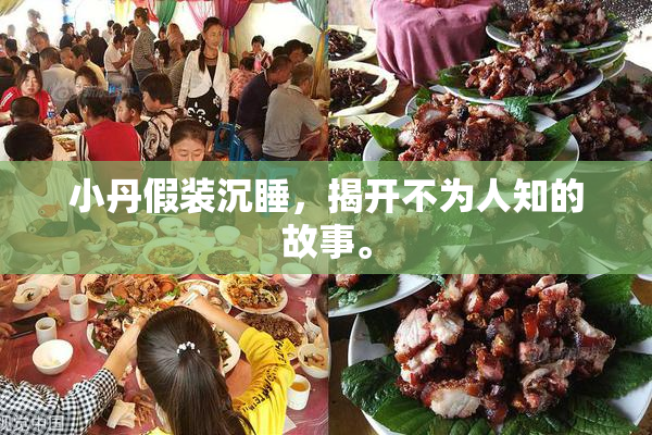 小丹假装沉睡，揭开不为人知的故事。