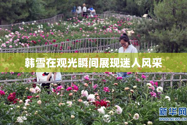韩雪在观光瞬间展现迷人风采