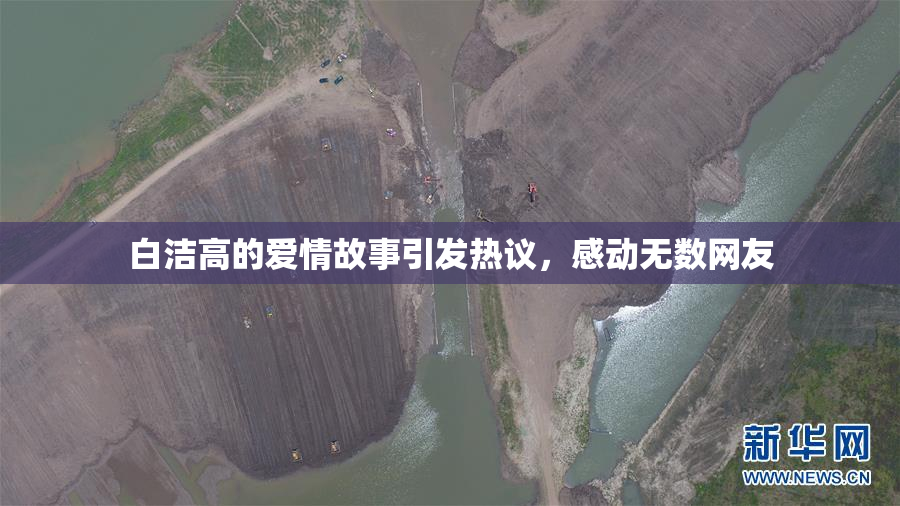 白洁高的爱情故事引发热议，感动无数网友