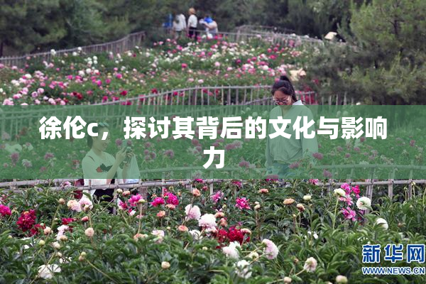 徐伦c，探讨其背后的文化与影响力