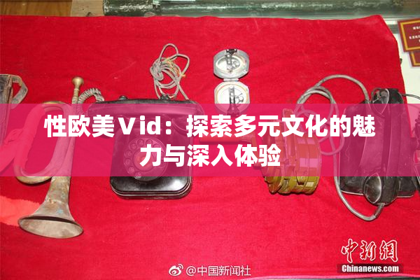 性欧美Ⅴid：探索多元文化的魅力与深入体验