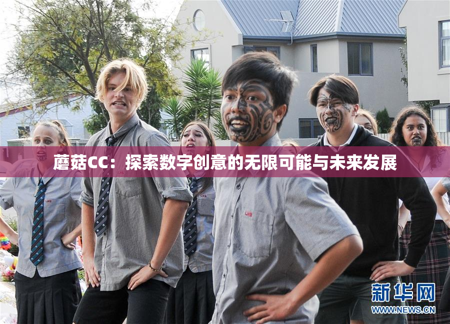 蘑菇CC：探索数字创意的无限可能与未来发展