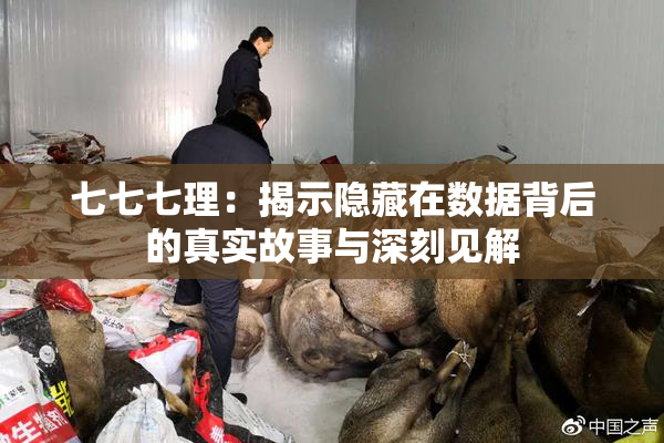 七七七理：揭示隐藏在数据背后的真实故事与深刻见解