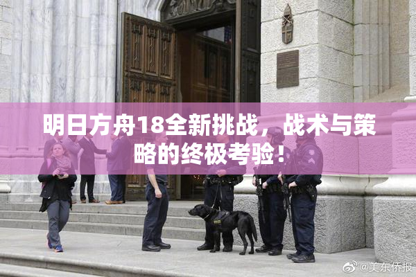明日方舟18全新挑战，战术与策略的终极考验！