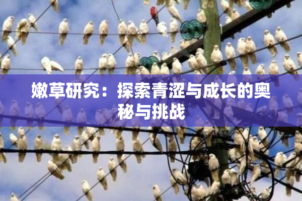嫩草研究：探索青涩与成长的奥秘与挑战