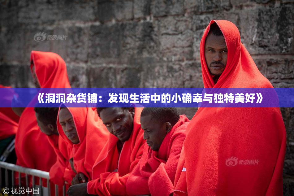 《洞洞杂货铺：发现生活中的小确幸与独特美好》