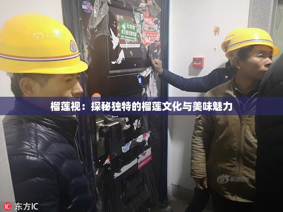 榴莲视：探秘独特的榴莲文化与美味魅力