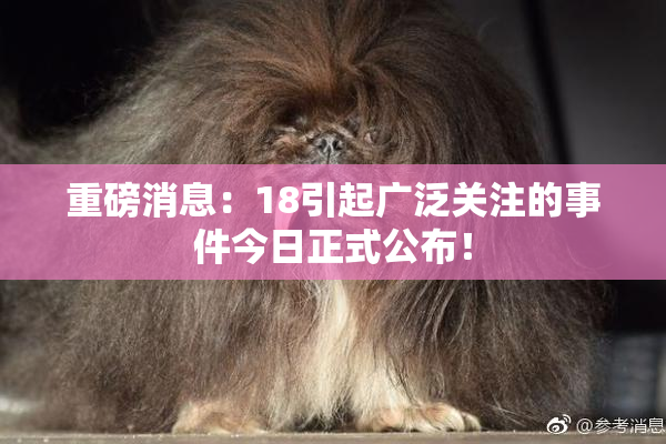 重磅消息：18引起广泛关注的事件今日正式公布！