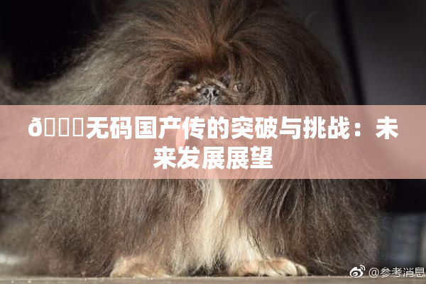 🔞无码国产传的突破与挑战：未来发展展望