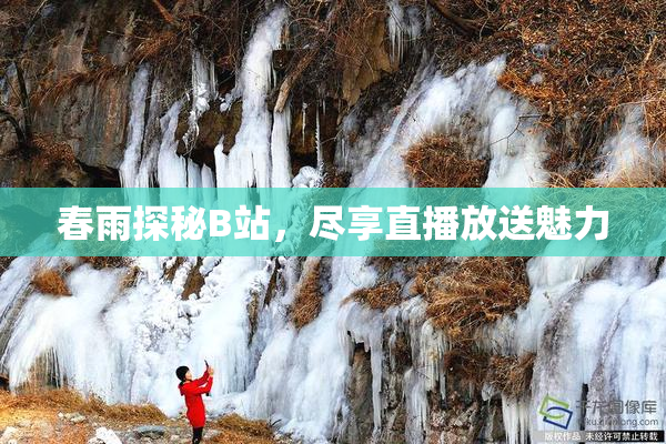 春雨探秘B站，尽享直播放送魅力