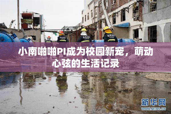 小南啪啪PI成为校园新宠，萌动心弦的生活记录