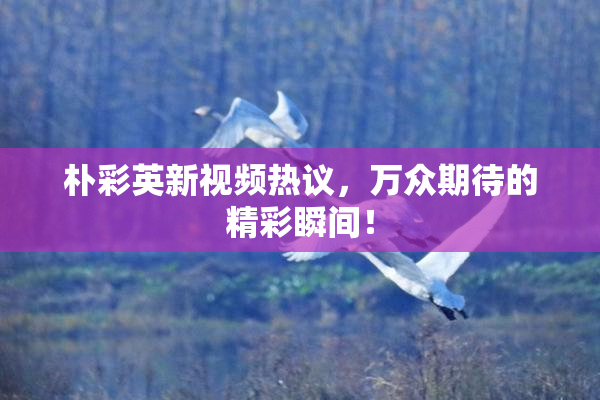 朴彩英新视频热议，万众期待的精彩瞬间！