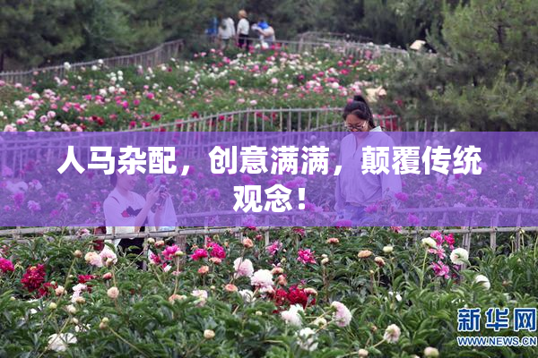 人马杂配，创意满满，颠覆传统观念！
