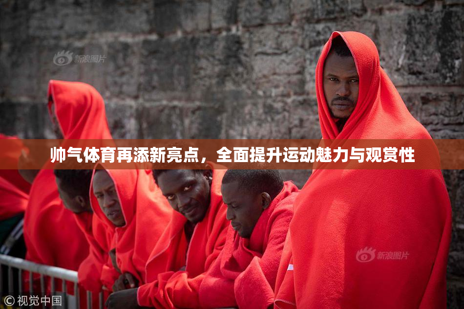 帅气体育再添新亮点，全面提升运动魅力与观赏性