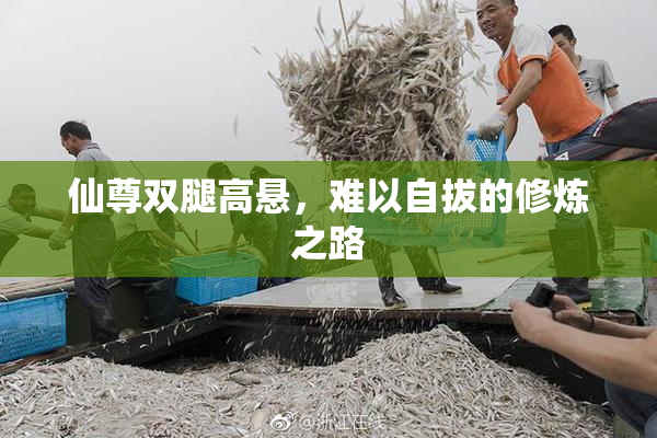 仙尊双腿高悬，难以自拔的修炼之路