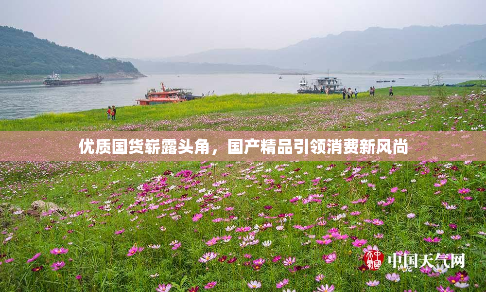 优质国货崭露头角，国产精品引领消费新风尚