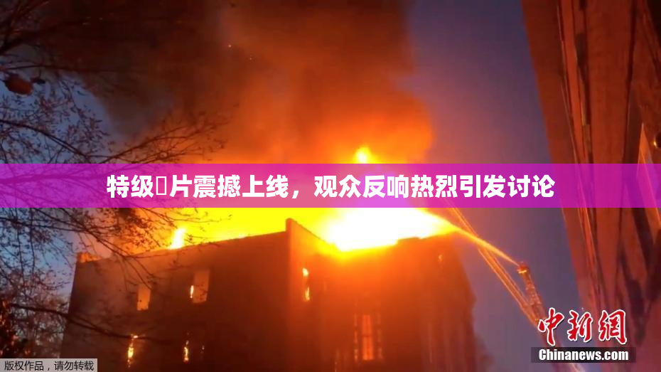 特级婬片震撼上线，观众反响热烈引发讨论