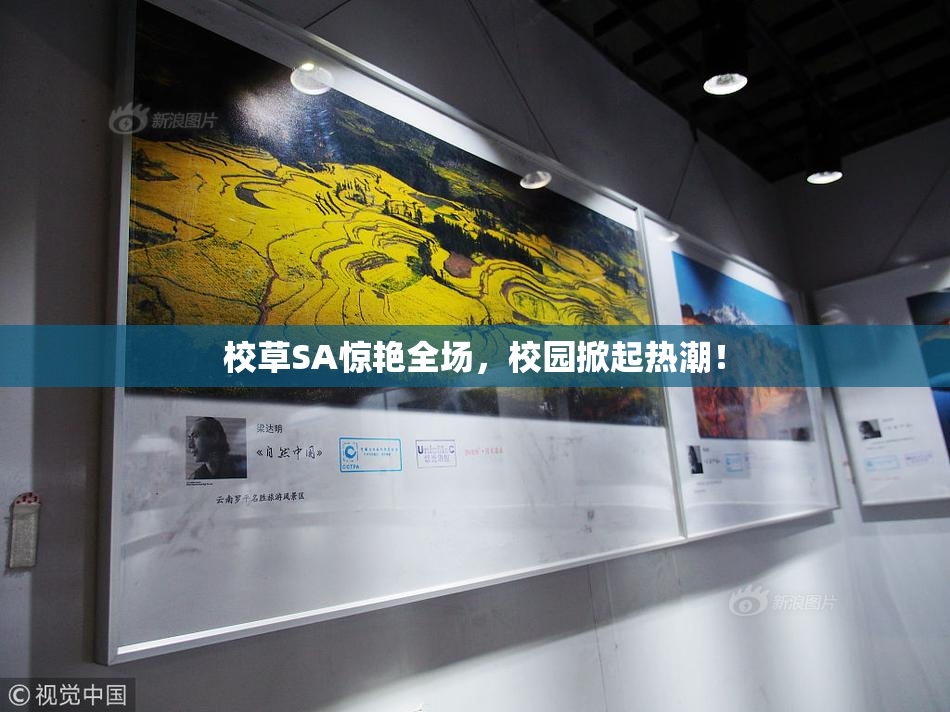 校草SA惊艳全场，校园掀起热潮！