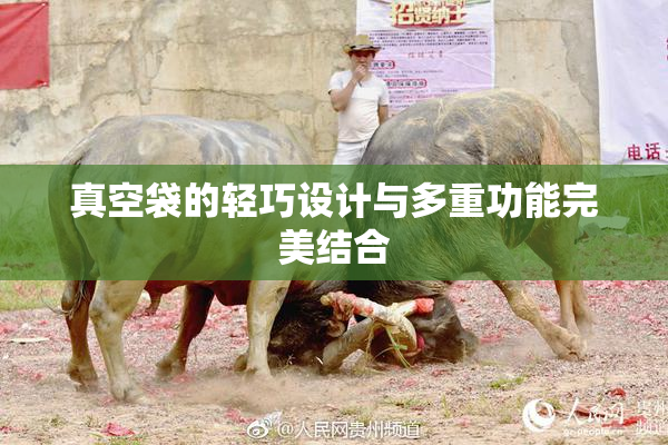 真空袋的轻巧设计与多重功能完美结合