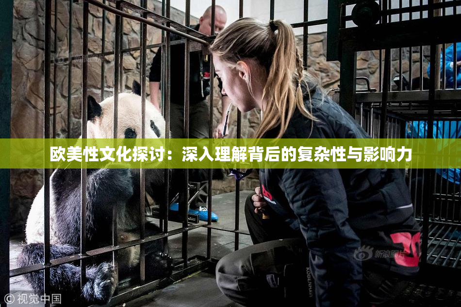 欧美性文化探讨：深入理解背后的复杂性与影响力