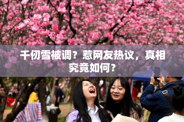 千仞雪被调？惹网友热议，真相究竟如何？