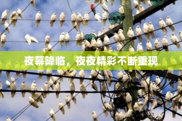 夜幕降临，夜夜精彩不断重现