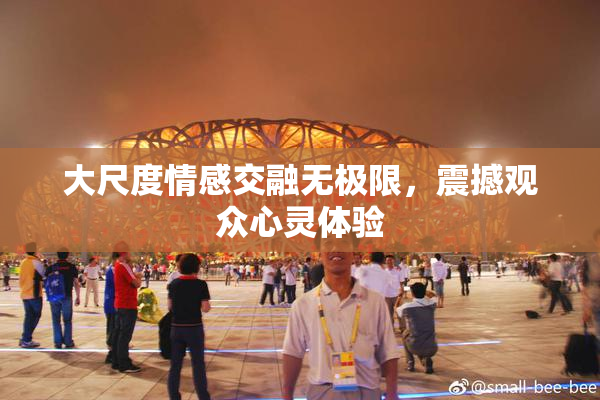 大尺度情感交融无极限，震撼观众心灵体验