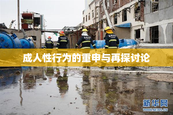 成人性行为的重申与再探讨论