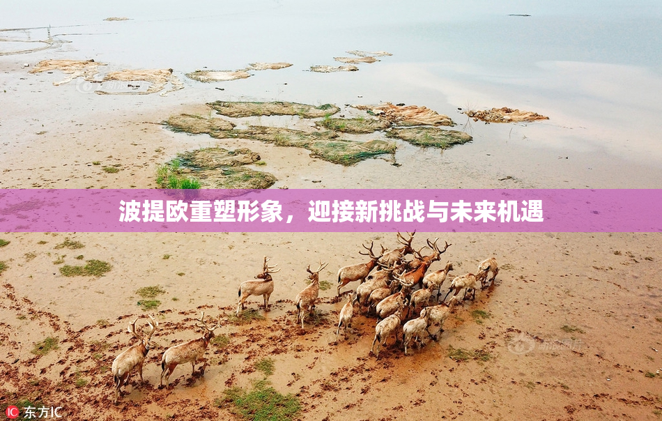 波提欧重塑形象，迎接新挑战与未来机遇