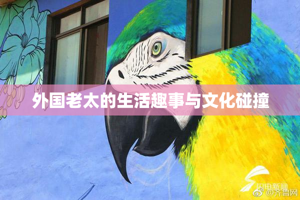 外国老太的生活趣事与文化碰撞