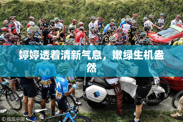 婷婷透着清新气息，嫩绿生机盎然