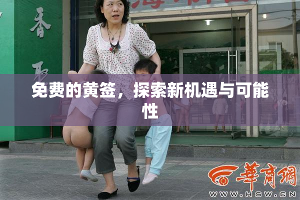 免费的黄签，探索新机遇与可能性