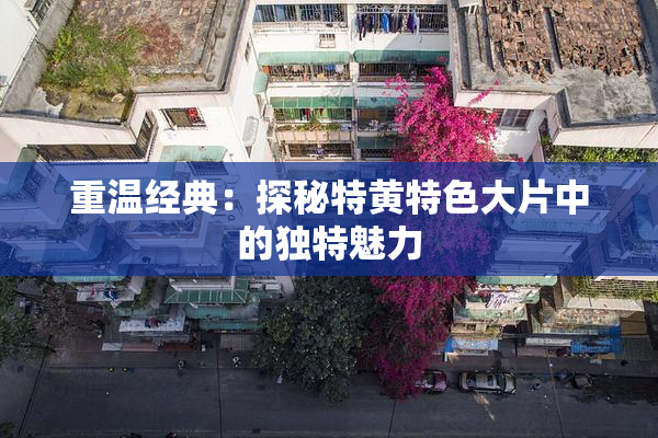 重温经典：探秘特黄特色大片中的独特魅力