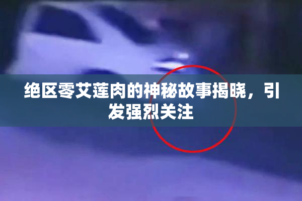绝区零艾莲肉的神秘故事揭晓，引发强烈关注