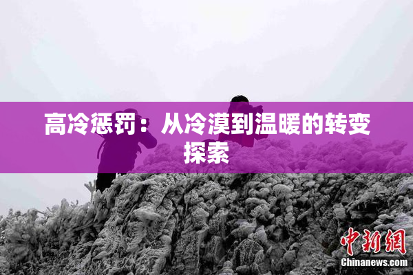 高冷惩罚：从冷漠到温暖的转变探索