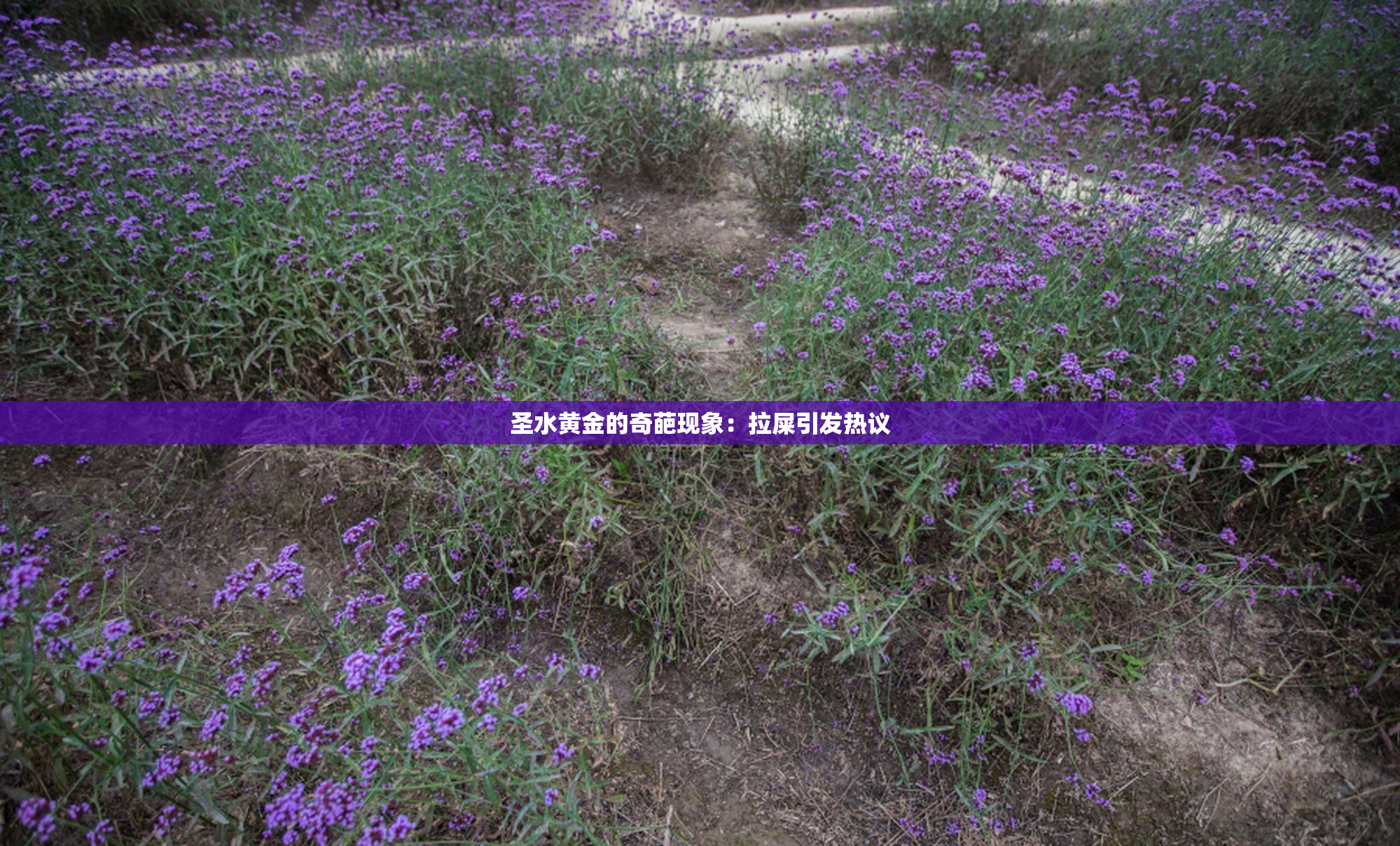 圣水黄金的奇葩现象：拉屎引发热议