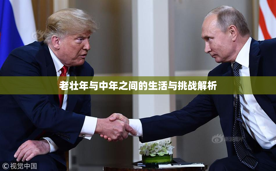 老壮年与中年之间的生活与挑战解析