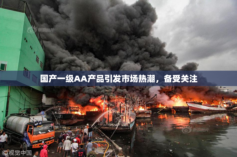 国产一级AA产品引发市场热潮，备受关注