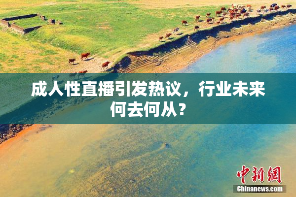 成人性直播引发热议，行业未来何去何从？