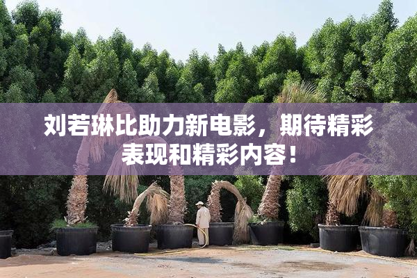 刘若琳比助力新电影，期待精彩表现和精彩内容！