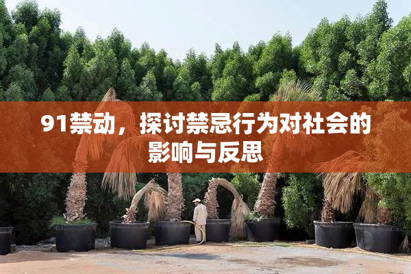 91禁动，探讨禁忌行为对社会的影响与反思