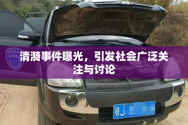 清漪事件曝光，引发社会广泛关注与讨论