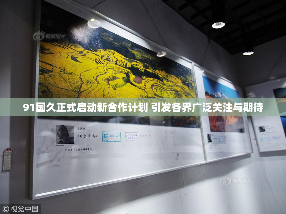 91国久正式启动新合作计划 引发各界广泛关注与期待