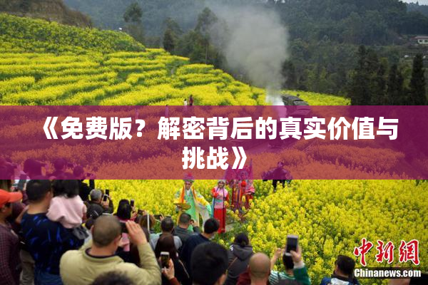 《免费版？解密背后的真实价值与挑战》