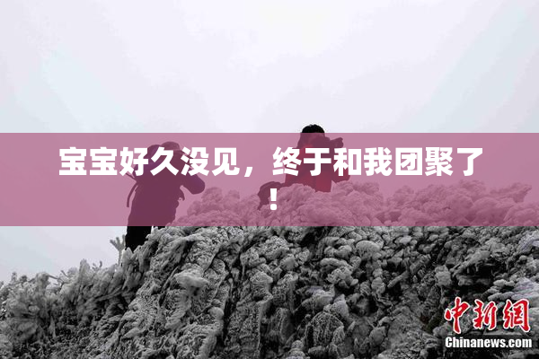 宝宝好久没见，终于和我团聚了！