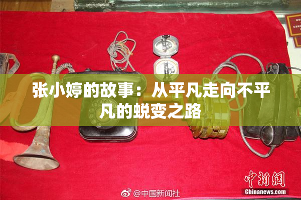 张小婷的故事：从平凡走向不平凡的蜕变之路