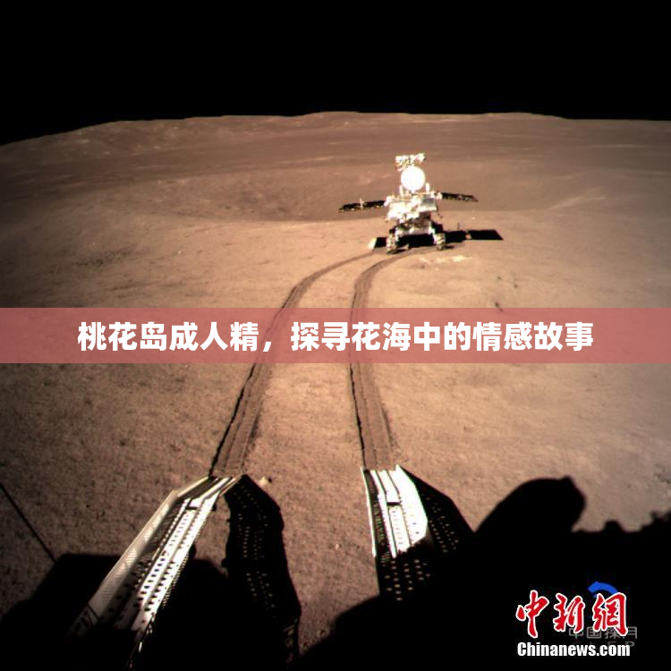 桃花岛成人精，探寻花海中的情感故事